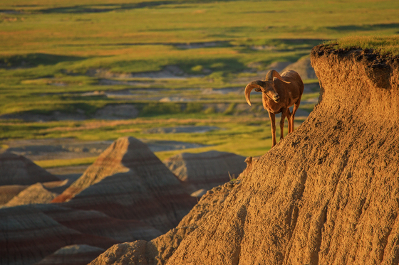 Badlands National Park