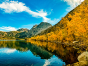 Inyo National Forest 