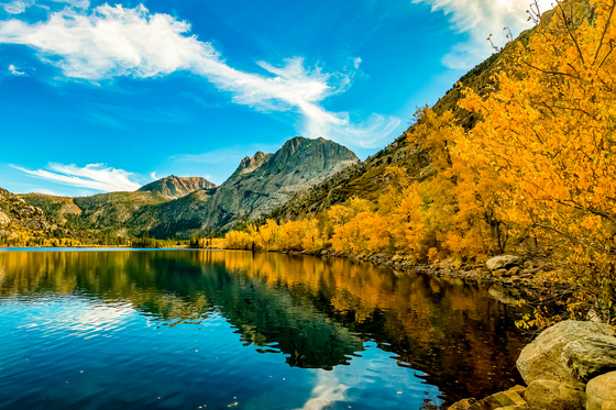 Inyo National Forest 