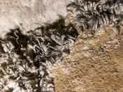 Mammoth Cave National Park