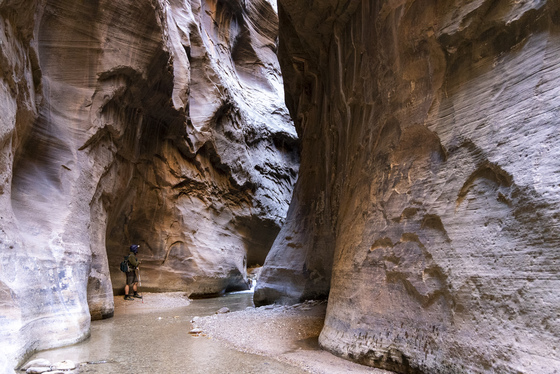 Zion National Park , Narrows