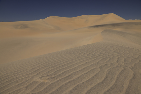 Mesquite flat sand dunes