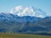 Denali National Park
