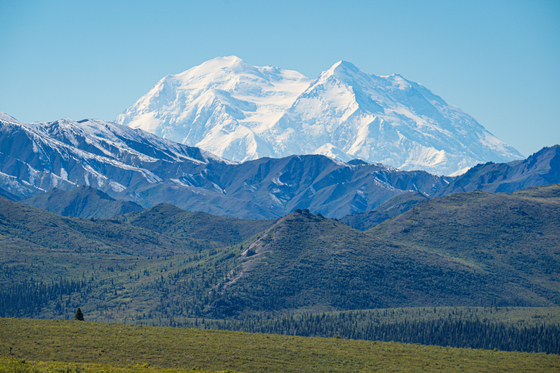 Denali National Park