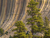 Devils Tower National Monumen