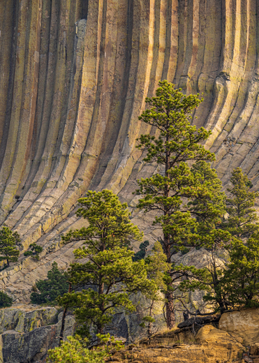 Devils Tower National Monumen