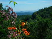 Blue Ridge Parkway