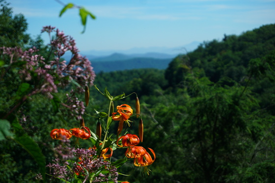 Blue Ridge Parkway