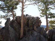 Rocky Mountain National Park