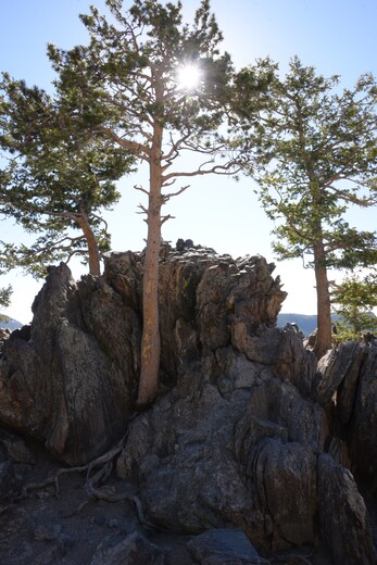 Rocky Mountain National Park