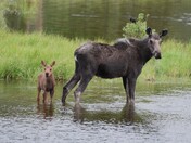 Rocky Mountain National Park