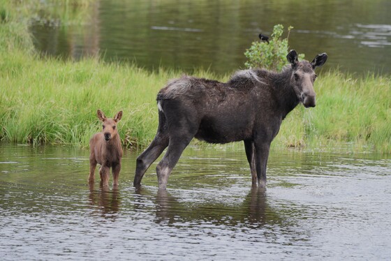 Rocky Mountain National Park