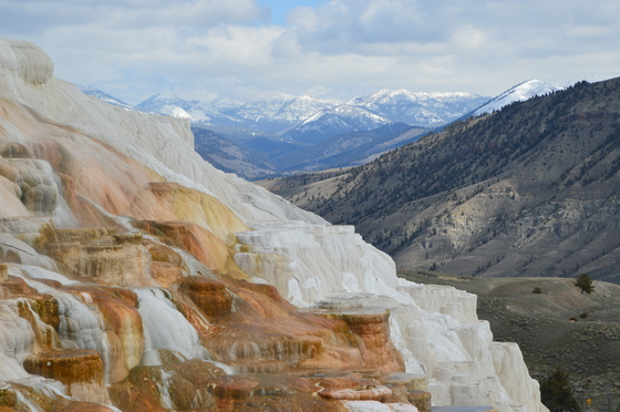 Yellowstone National Park