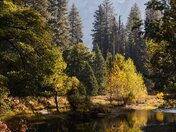 Yosemite National Park  