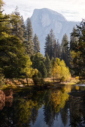 Yosemite National Park  