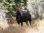 Brainard Lake