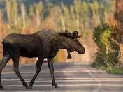 Rocky Mountain National Park
