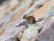 Rocky Mountain Nation Park