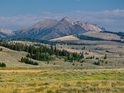 Yellowstone National Park