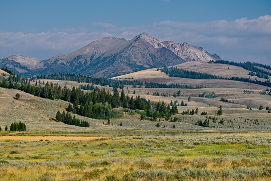 Yellowstone National Park