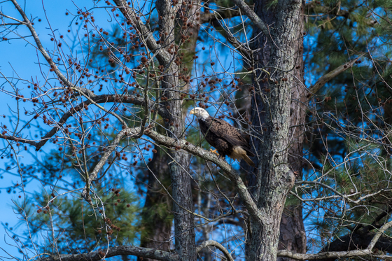 Jamestown Island National Park