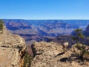 Grand Canyon National Park