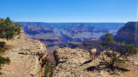 Grand Canyon National Park