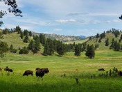 Wind Cave National Park