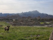 Badlands National Park