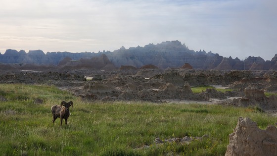 Badlands National Park