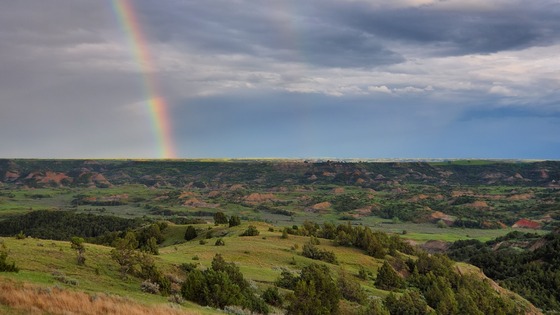 Theodore Roosevelt National Park