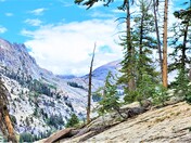 Sequoia National Park
