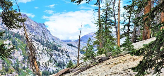 Sequoia National Park