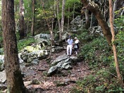 Shenandoah National Park