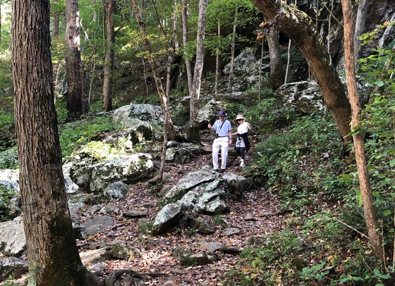 Shenandoah National Park