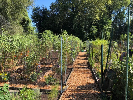Royal Street Community Garden