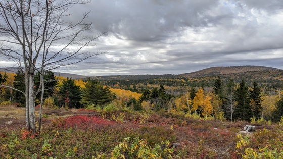 Acadia National Park