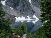 North Cascades National Park