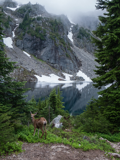North Cascades National Park