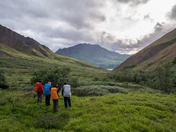 Denali National Park