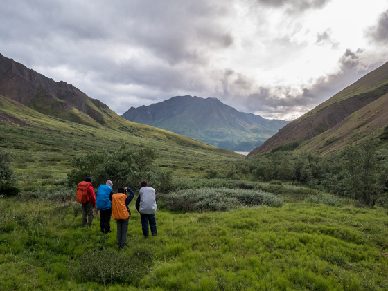 Denali National Park