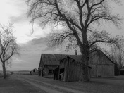 No one home