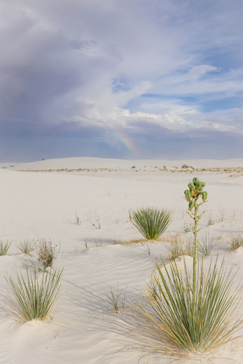 White Sands National Park