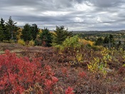 Acadia National Park