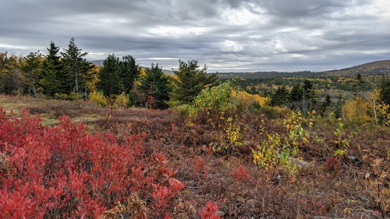 Acadia National Park