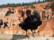 Bryce Canyon National Park