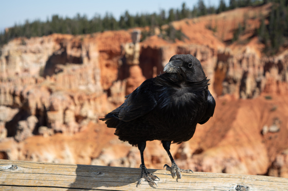 Bryce Canyon National Park