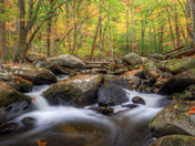 Great Smoky Mountains National Park
