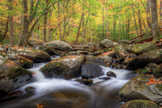 Great Smoky Mountains National Park