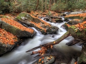 Great Smoky Mountains National Park